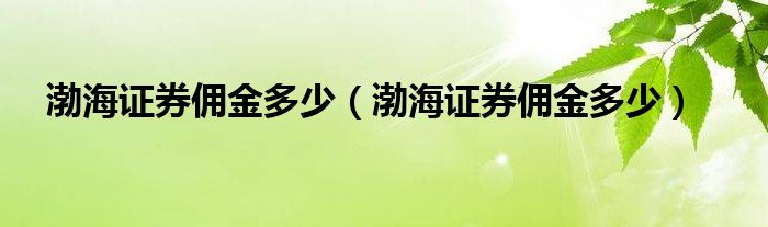渤海证券ipo(券商ipo未来发展前景)